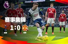 格雷西巴哈战队城市赛