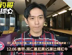 九游体育下载-德国莱比锡红牛队